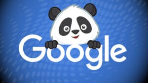 Google Panda SEO Update