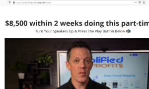 Amplified Profits Review
